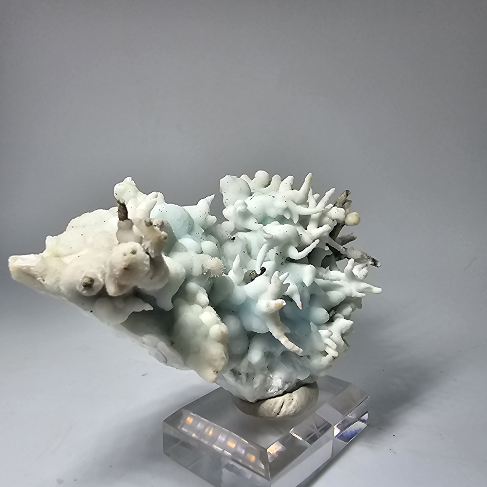 Aragonite Var Flos Ferri