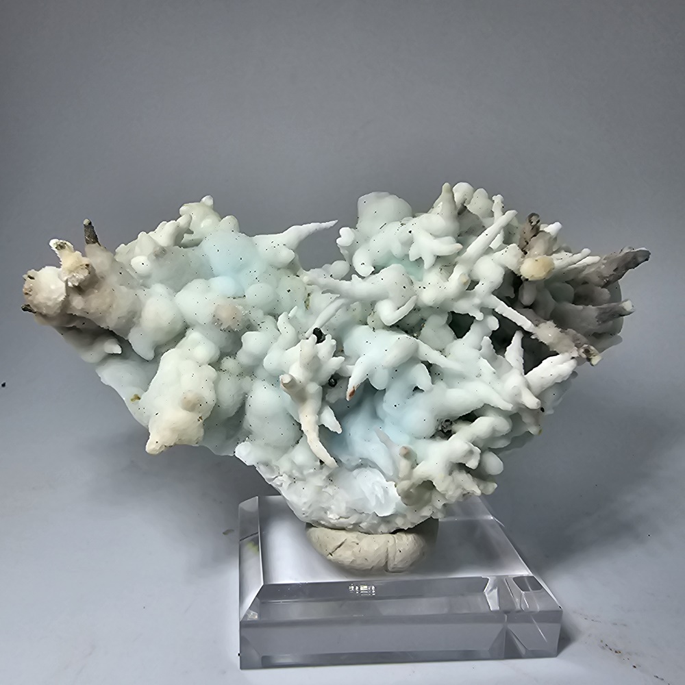 Aragonite Var Flos Ferri