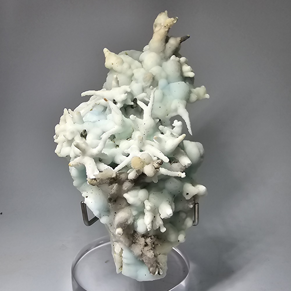 Aragonite Var Flos Ferri