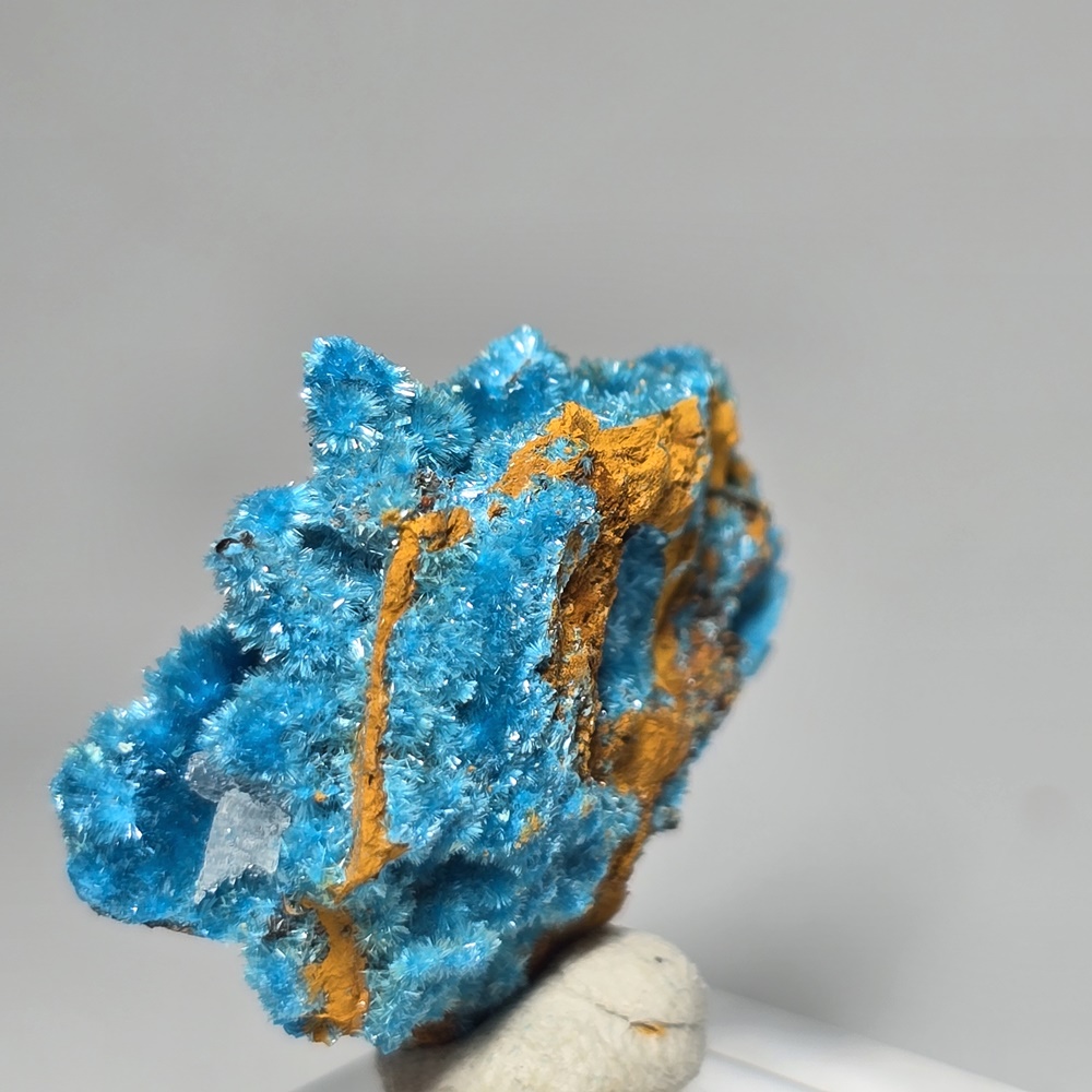 Serpierite