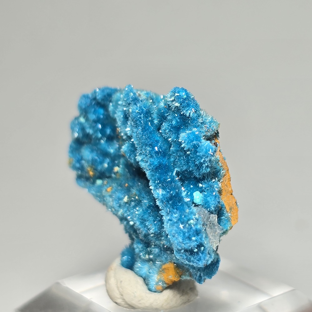 Serpierite