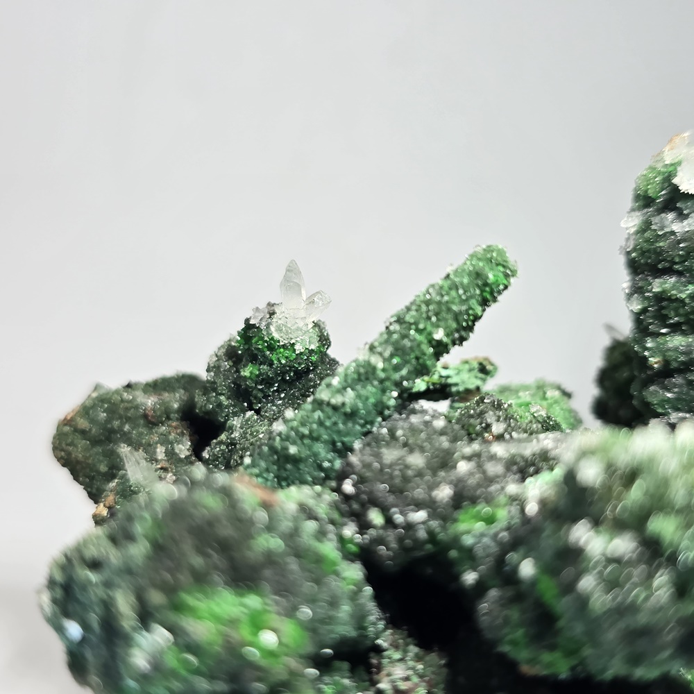 Zincolivenite & Conichalcite On Goethite Psm Gypsum