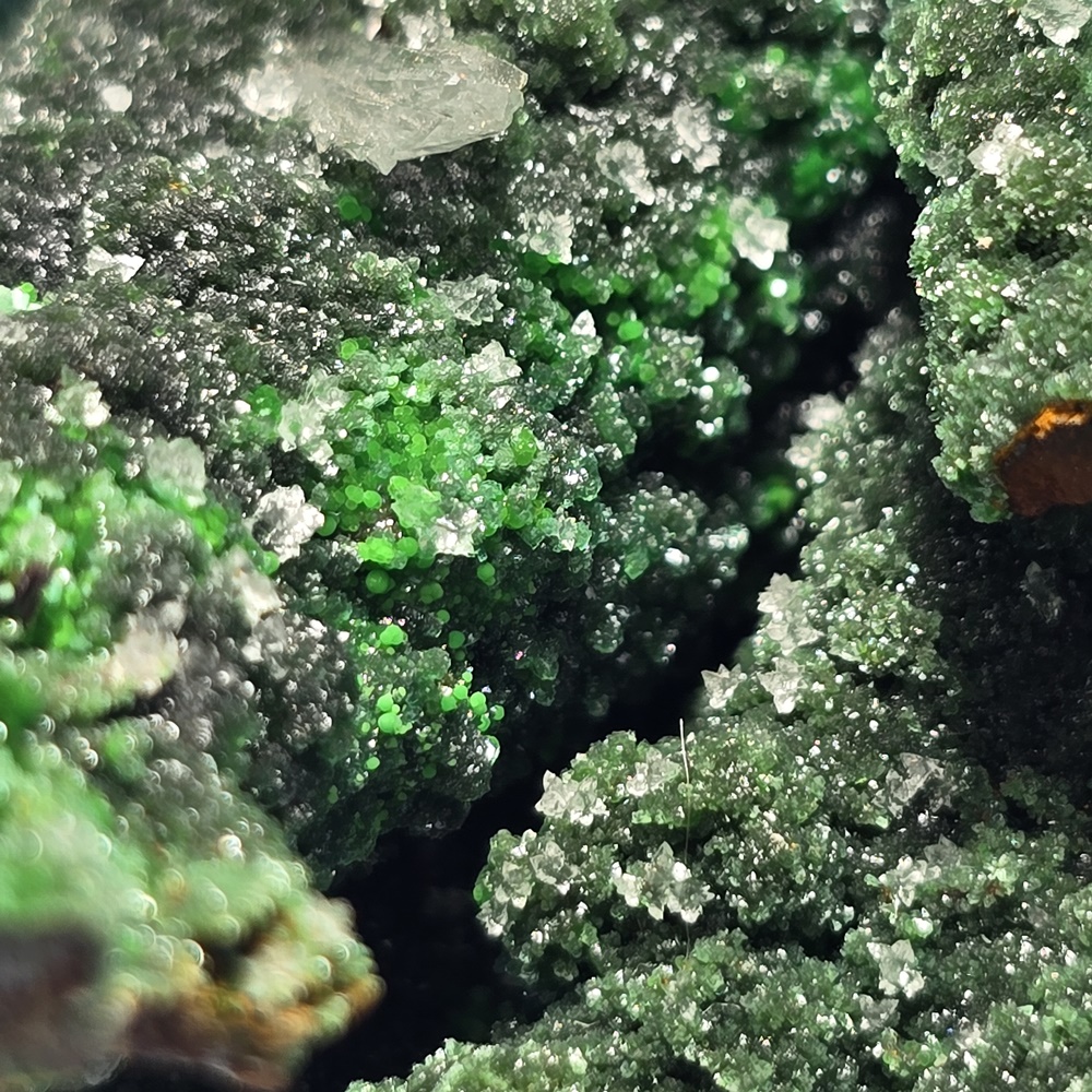 Zincolivenite & Conichalcite On Goethite Psm Gypsum