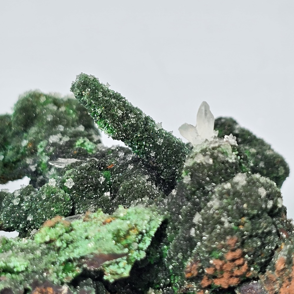 Zincolivenite & Conichalcite On Goethite Psm Gypsum