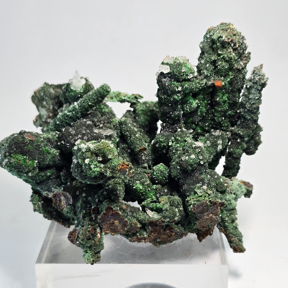 Zincolivenite & Conichalcite On Goethite Psm Gypsum