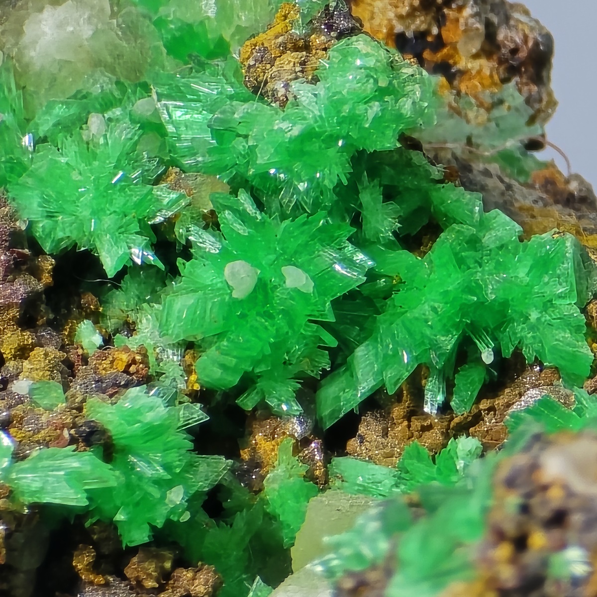 Annabergite Gaspéite & Calcite