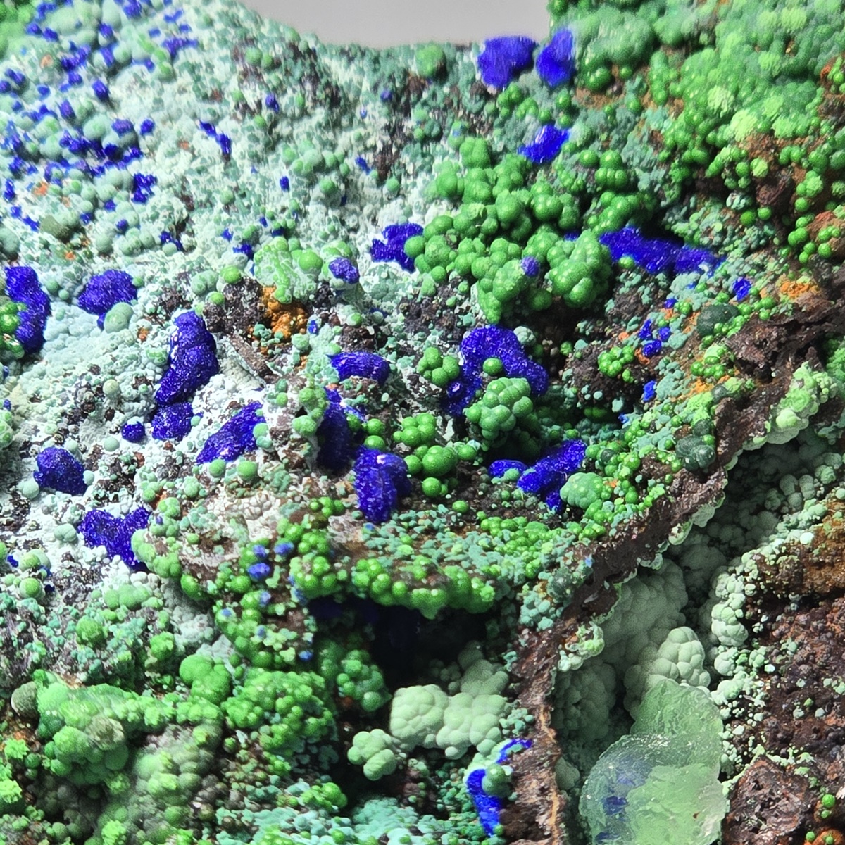 Azurite Conichalcite Arsenocrandallite & Aragonite