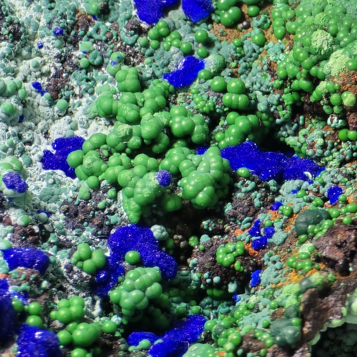 Azurite Conichalcite Arsenocrandallite & Aragonite