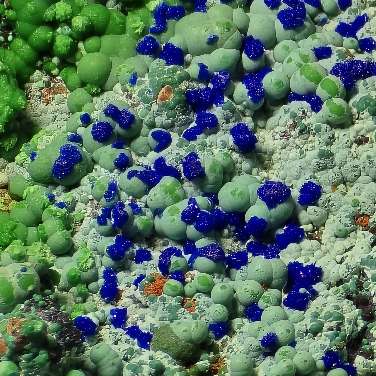 Azurite Conichalcite Arsenocrandallite & Aragonite