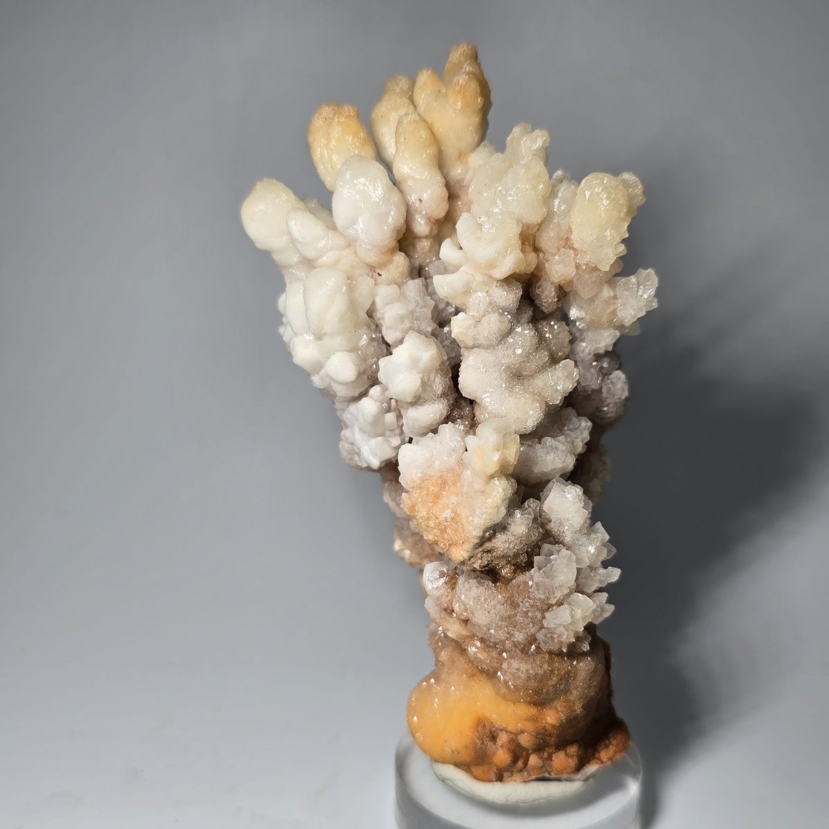 Calcite & Aragonite