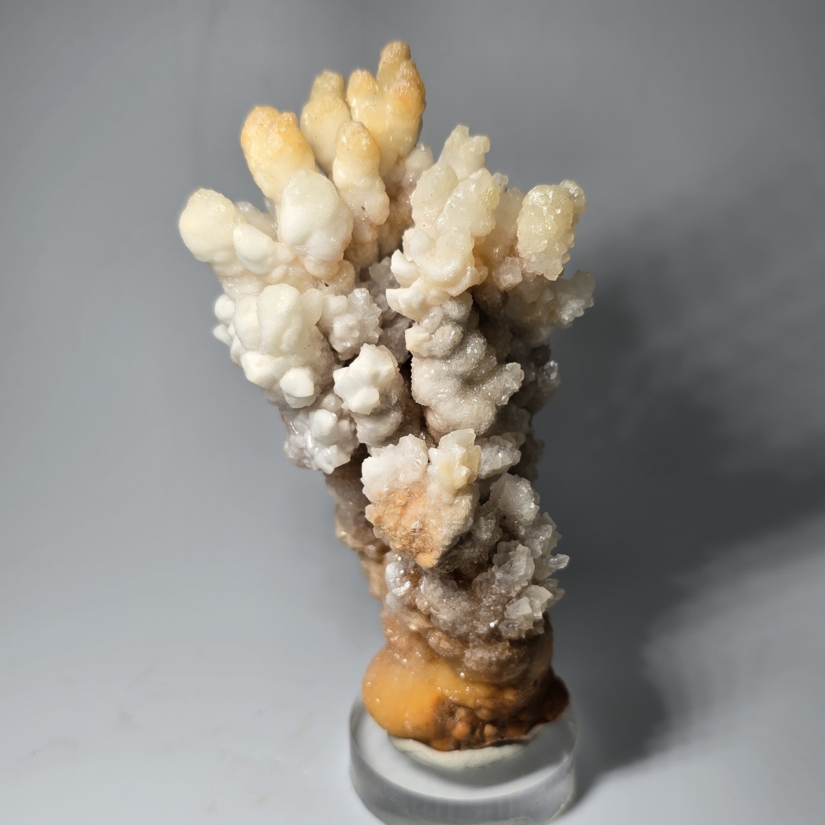 Calcite & Aragonite