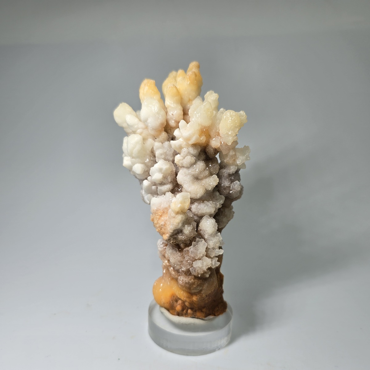 Calcite & Aragonite