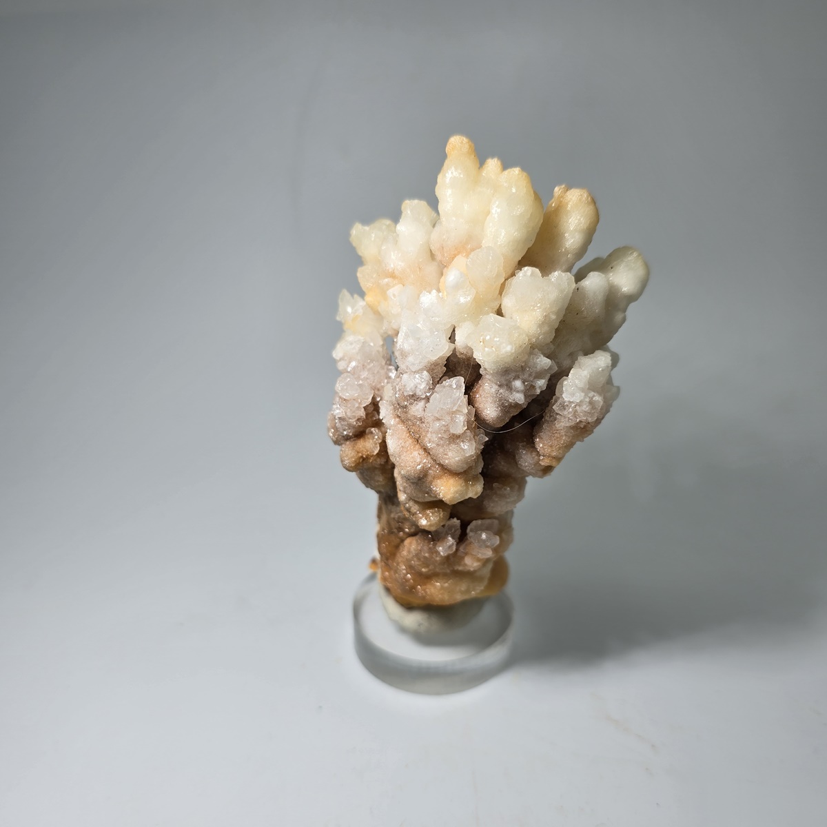 Calcite & Aragonite