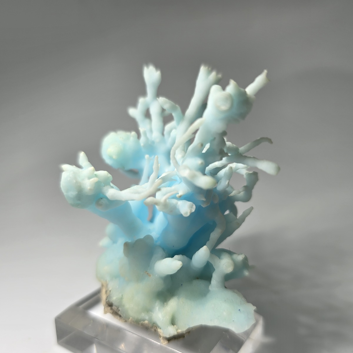 Flos Ferri Aragonite