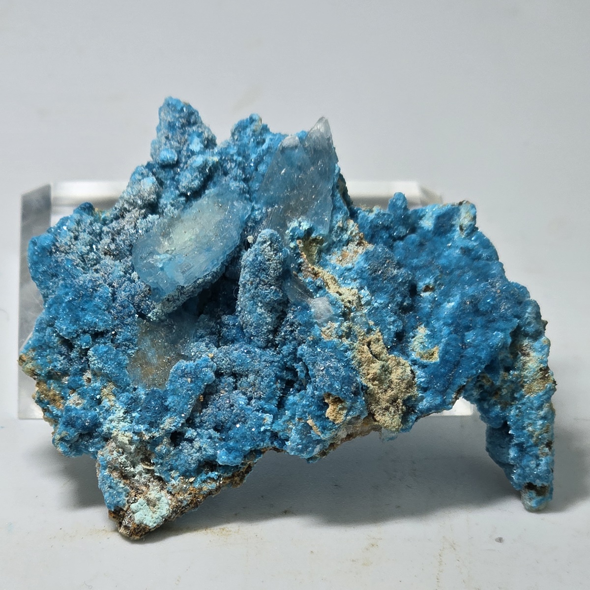 Serpierite & Gypsum