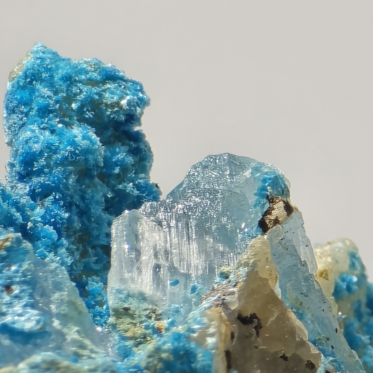 Serpierite & Gypsum