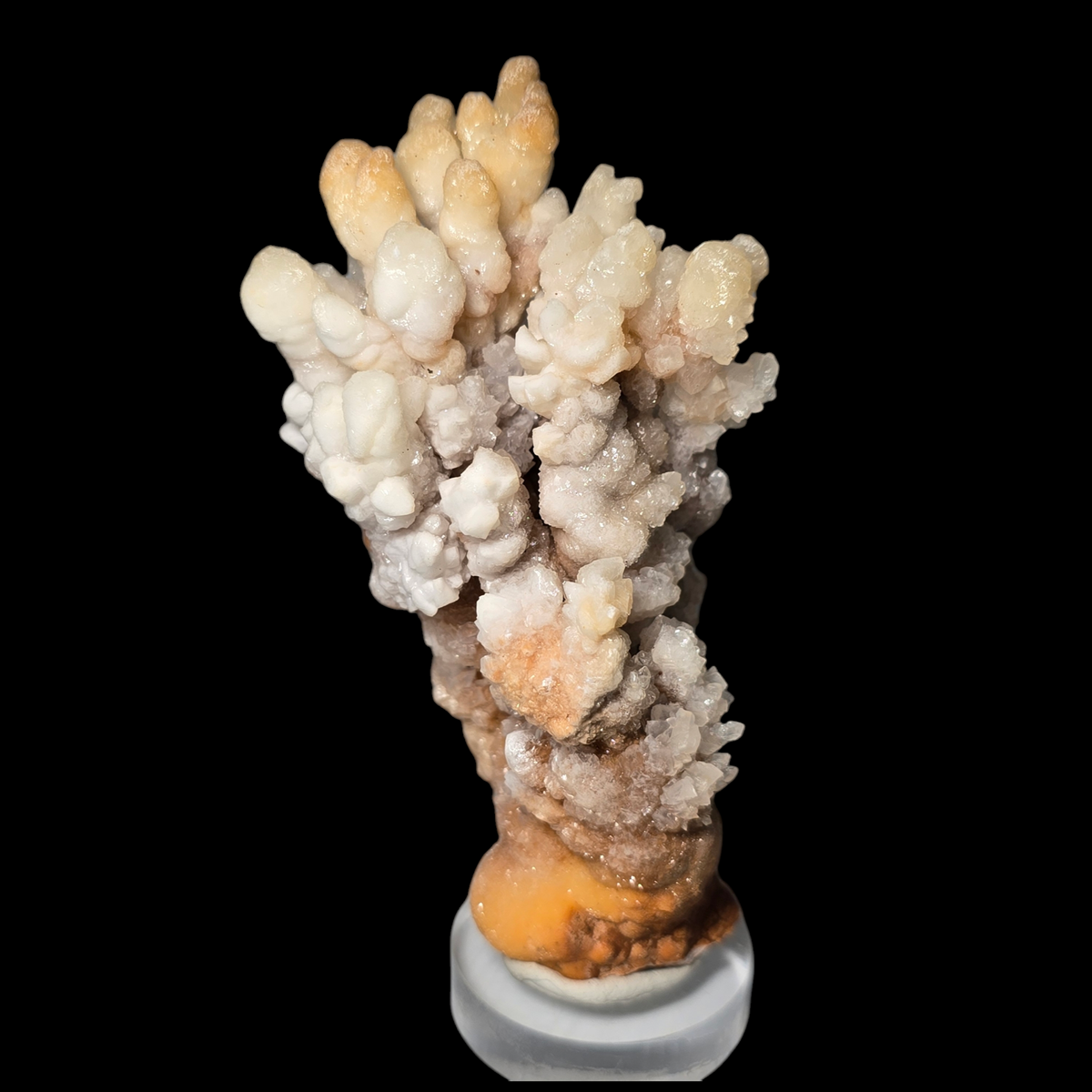 Calcite & Aragonite