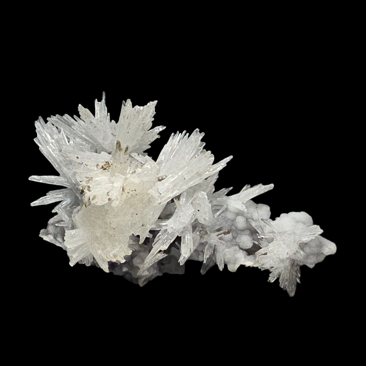 Aragonite