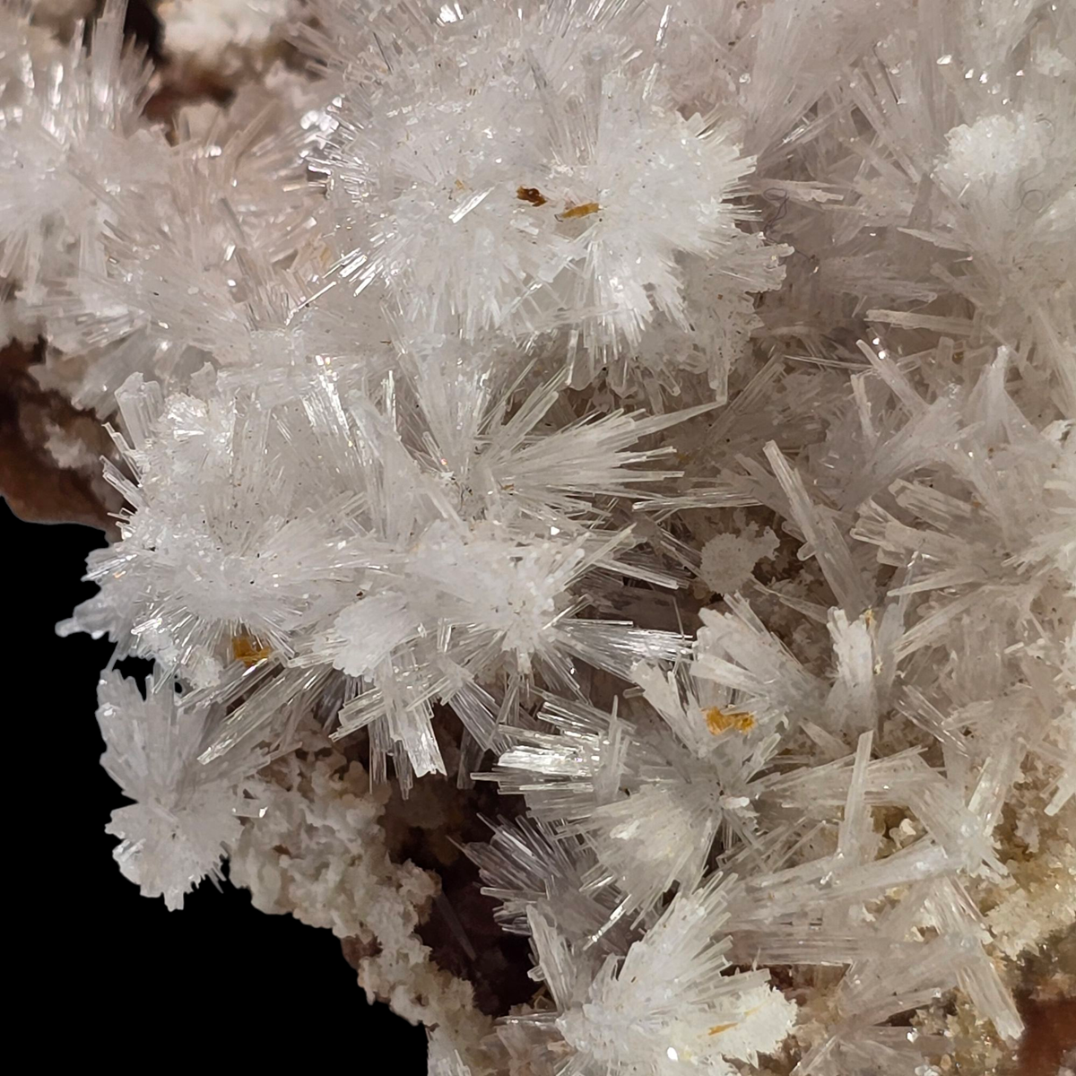 Aragonite