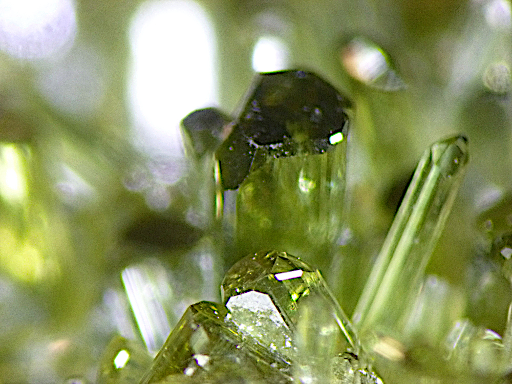 Vesuvianite