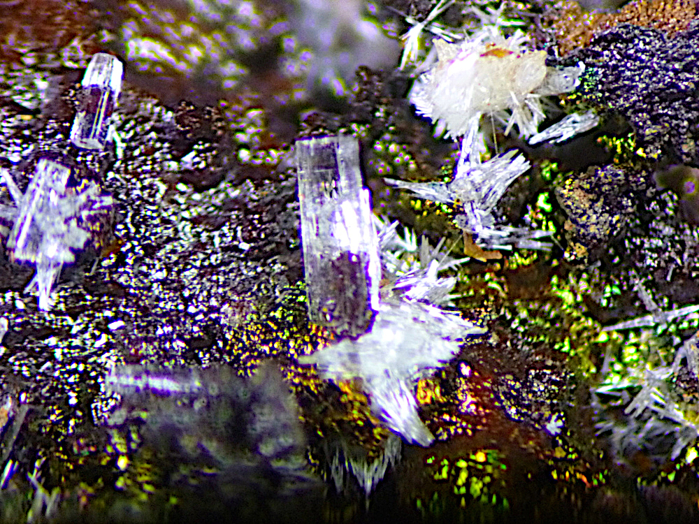 Hedyphane & Willemite