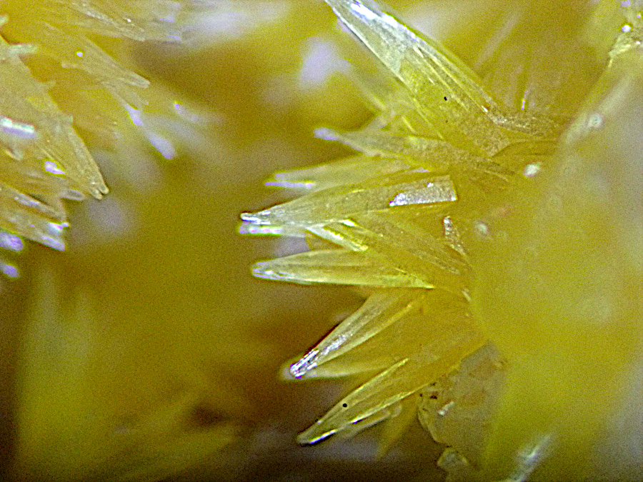 Mimetite