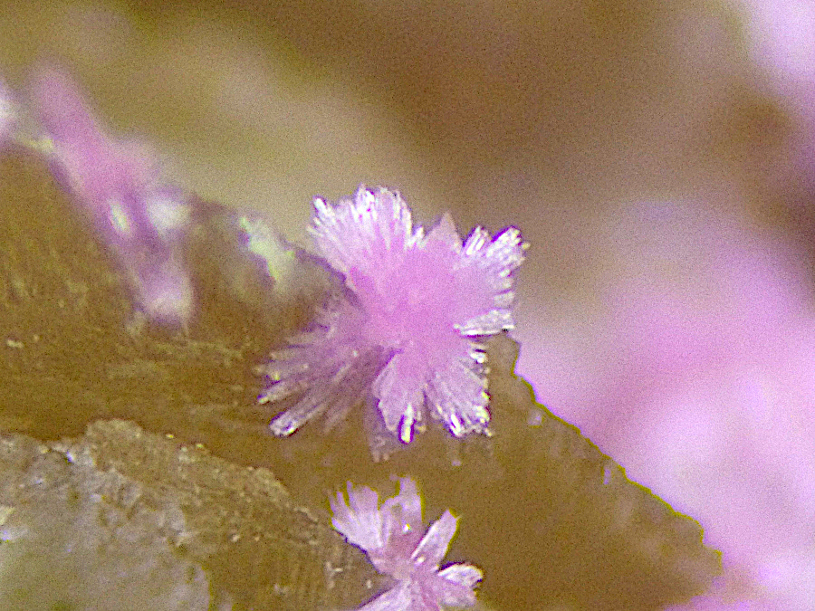 Erythrite