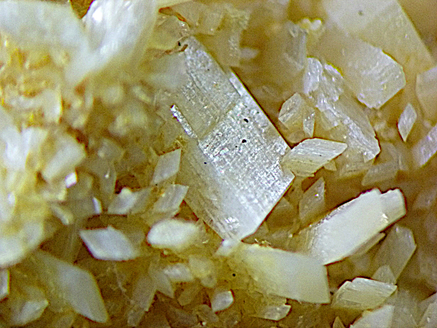 Paravauxite