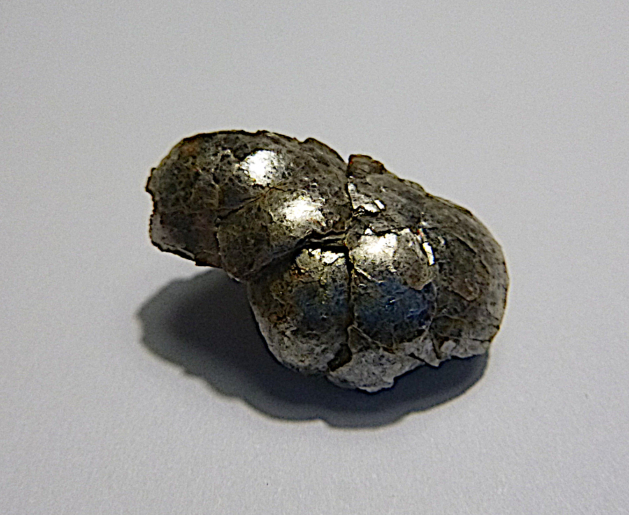 Muscovite