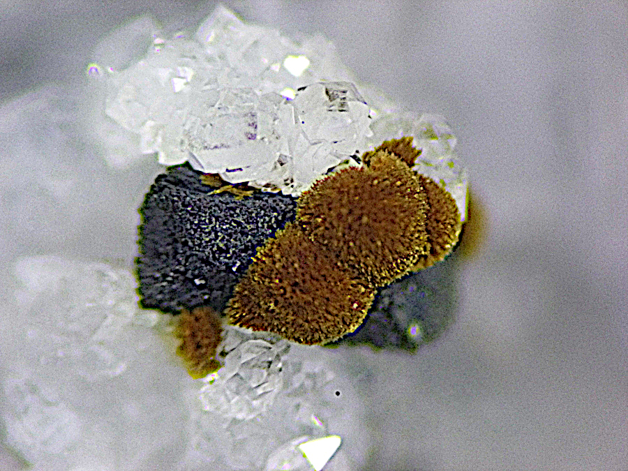 Cervantite