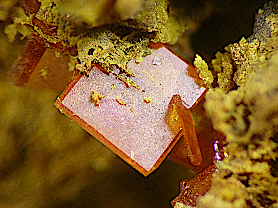 Wulfenite