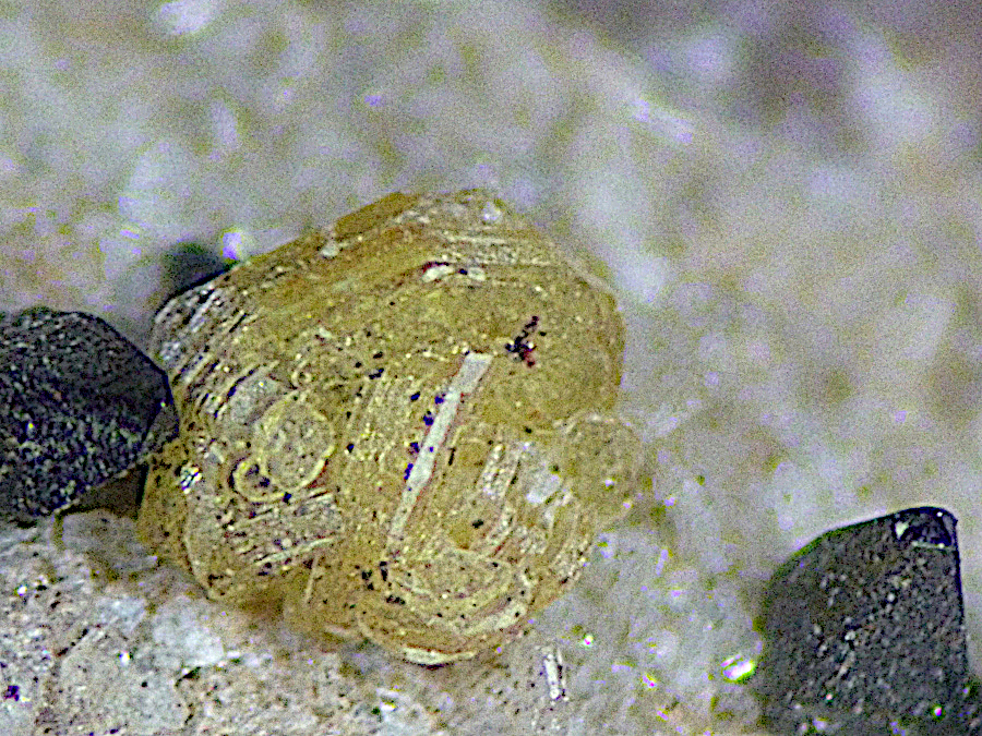 Parisite-(Ce) & Anatase