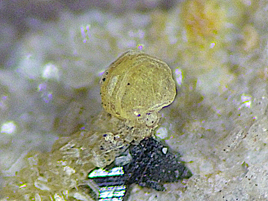 Parisite-(Ce) & Anatase