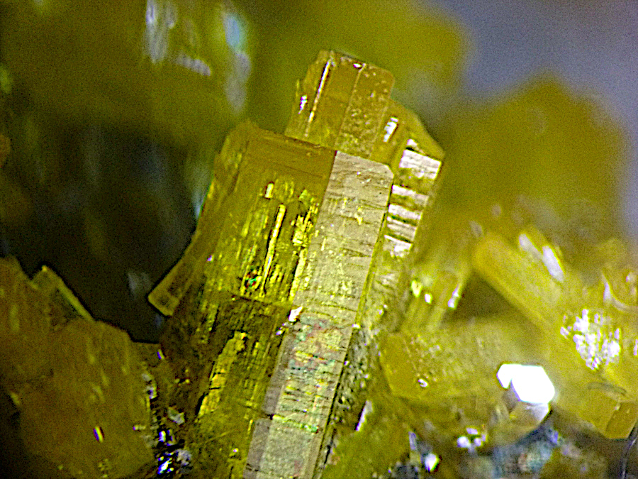 Mimetite