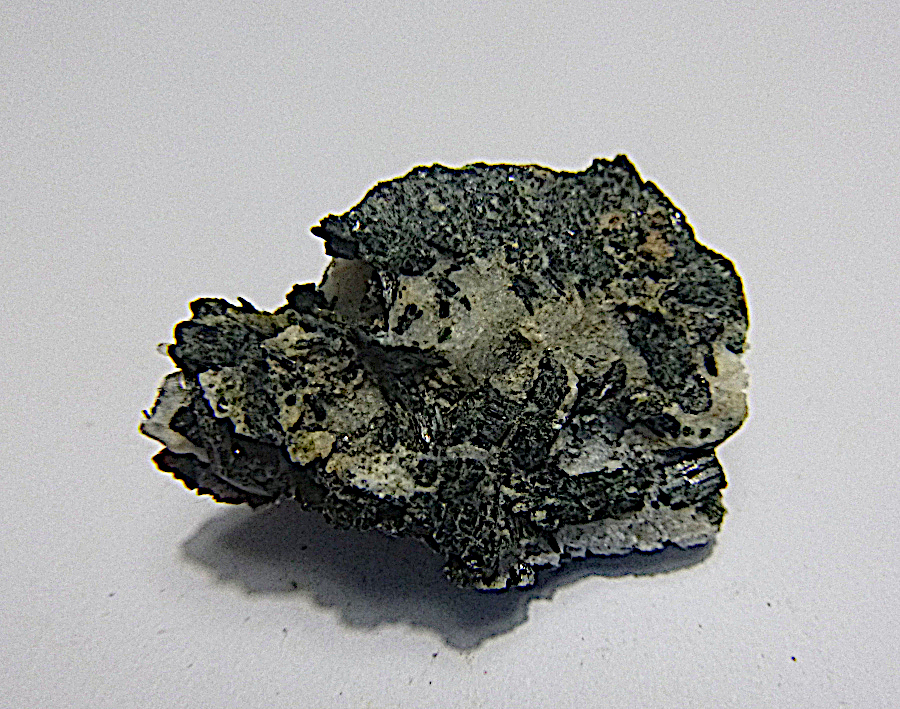 Ferro-actinolite