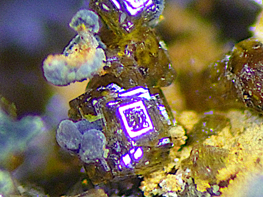 Cyrilovite & Autunite & Laueite