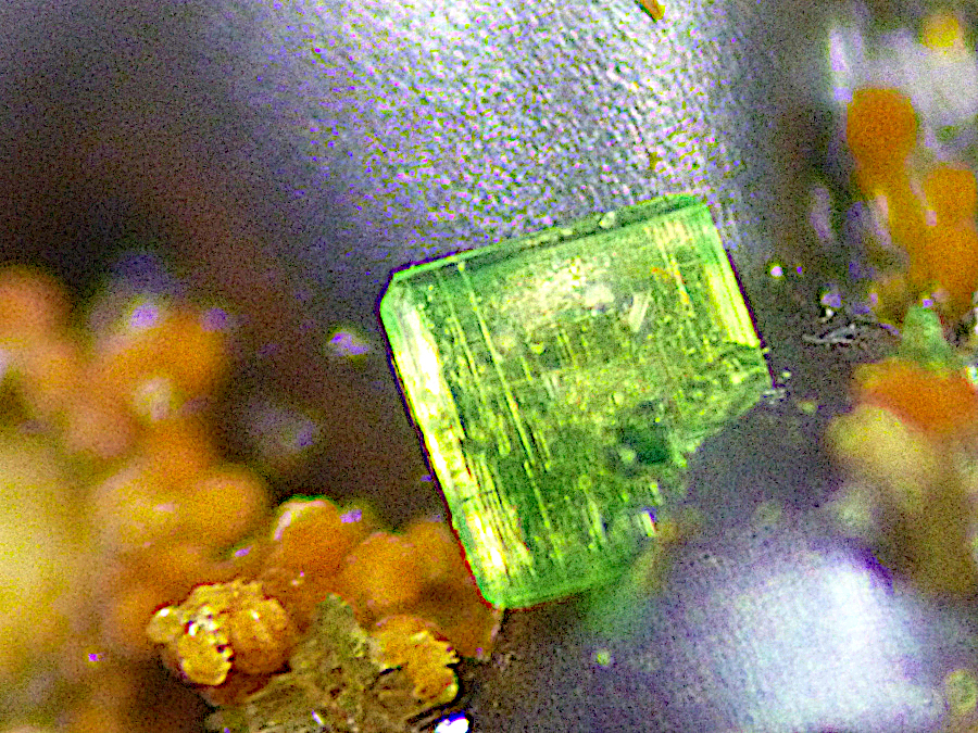 Cyrilovite & Autunite & Laueite