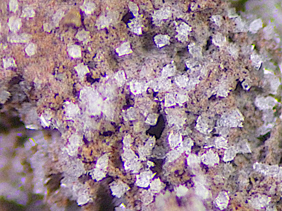 Fluornatrocoulsellite