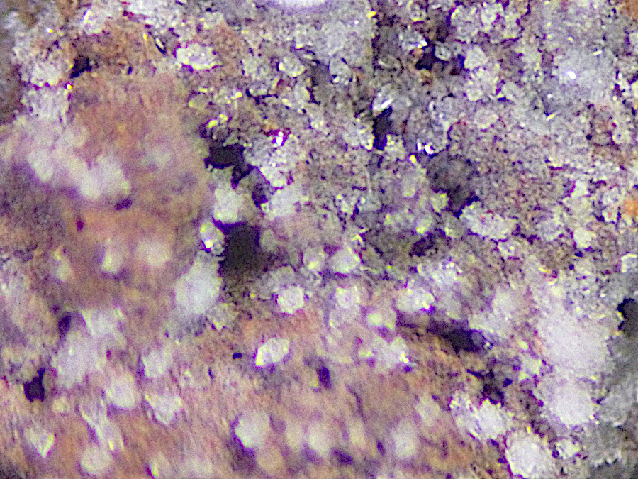 Fluornatrocoulsellite