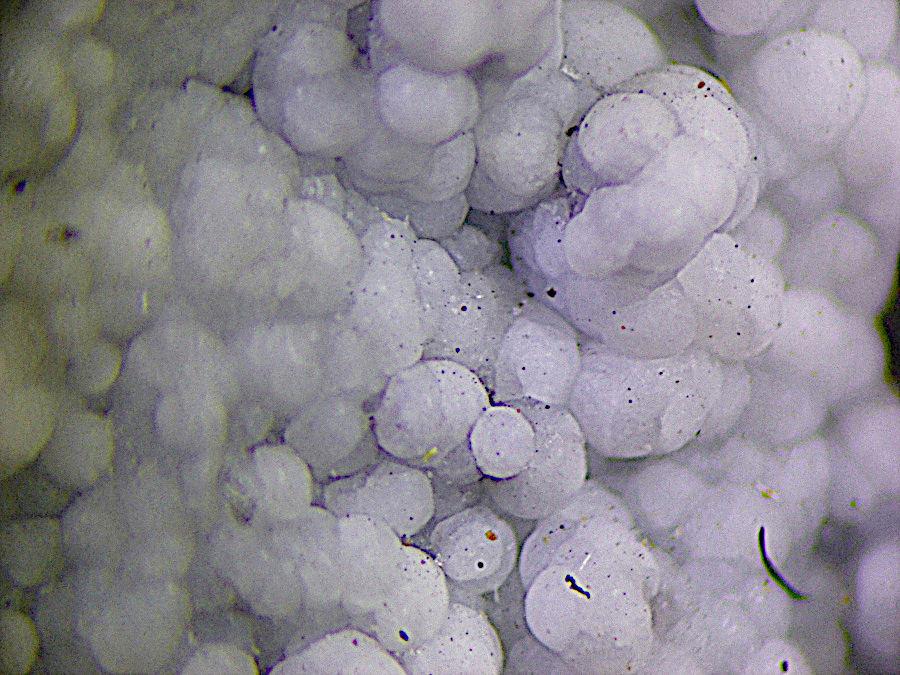 Dypingite & Inderite & Canavesite