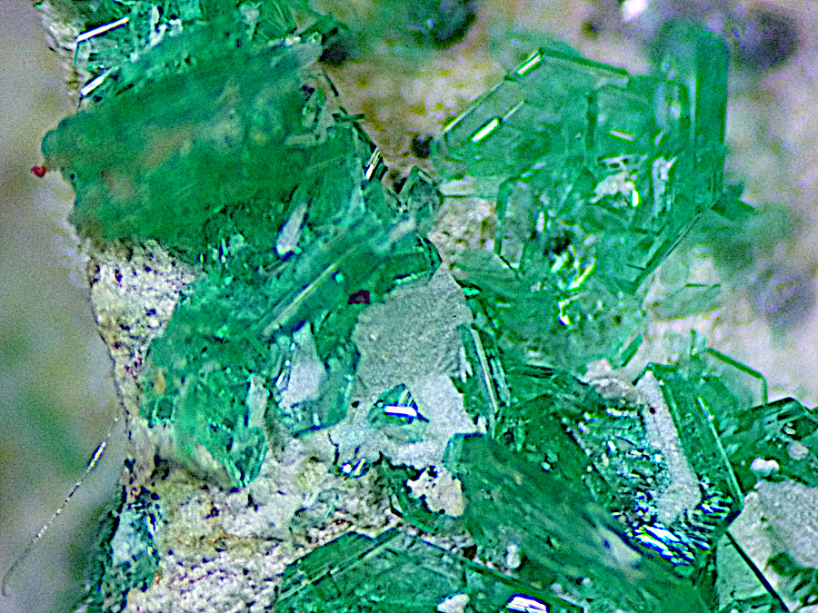 Chalcophyllite