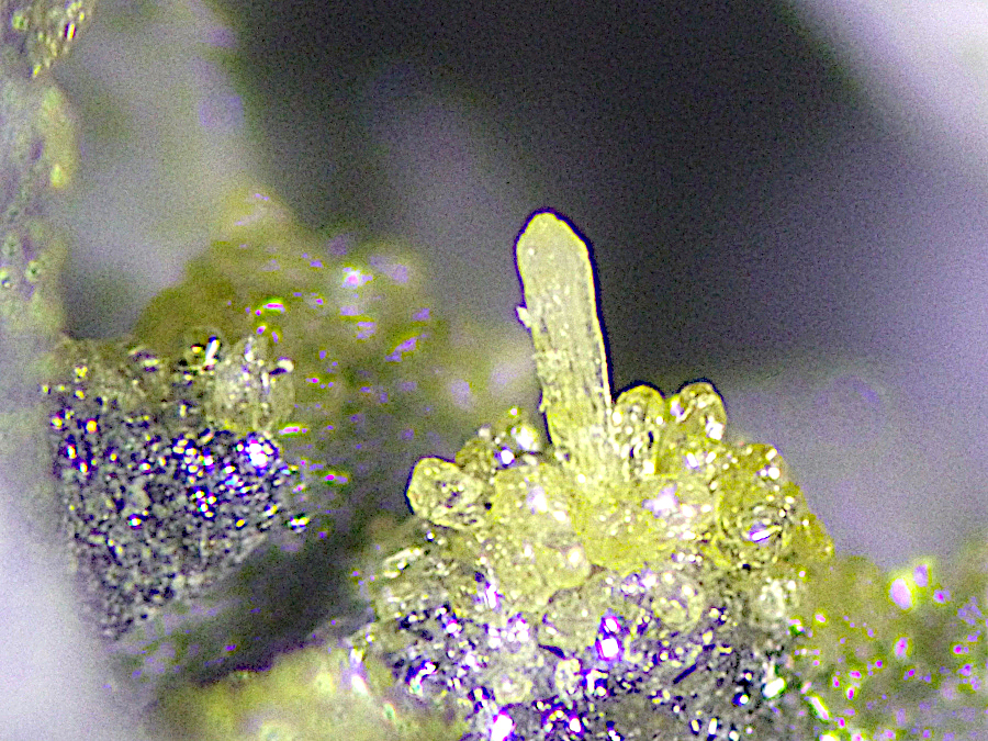 Hephaistosite & Cotunnite