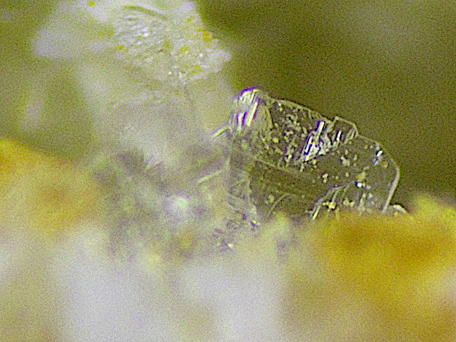 Antofagastaite & Sideronatrite