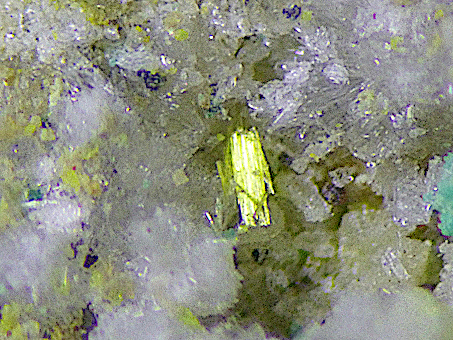 Alwilkinsite-(Y)