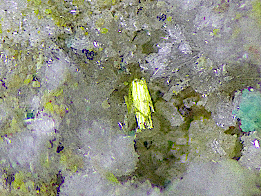 Alwilkinsite-(Y)