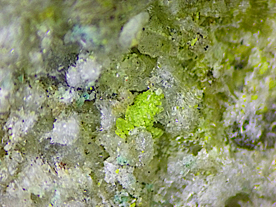 Alwilkinsite-(Y)
