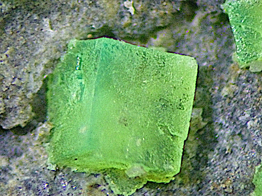 Andersonite