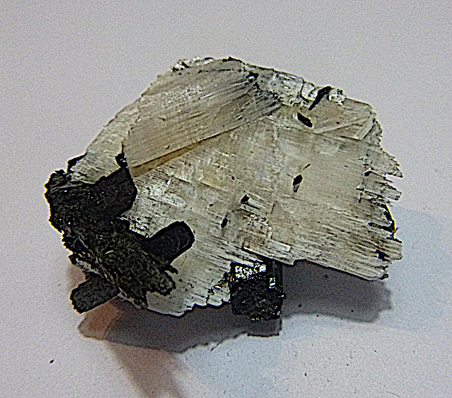 Eudidymite