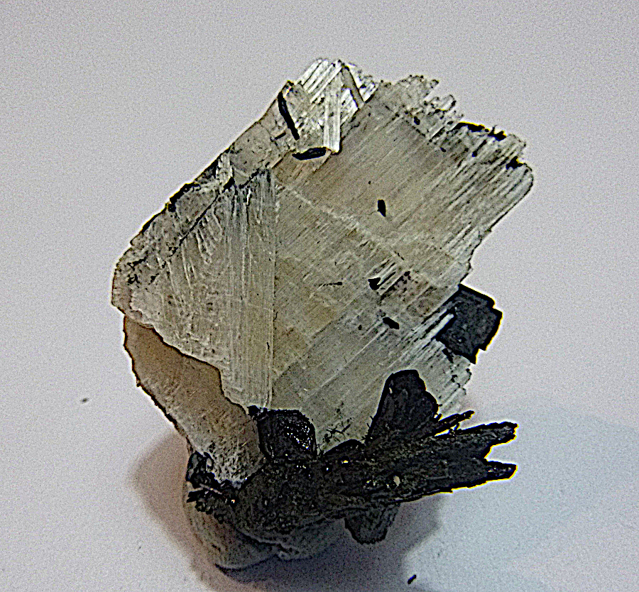 Eudidymite