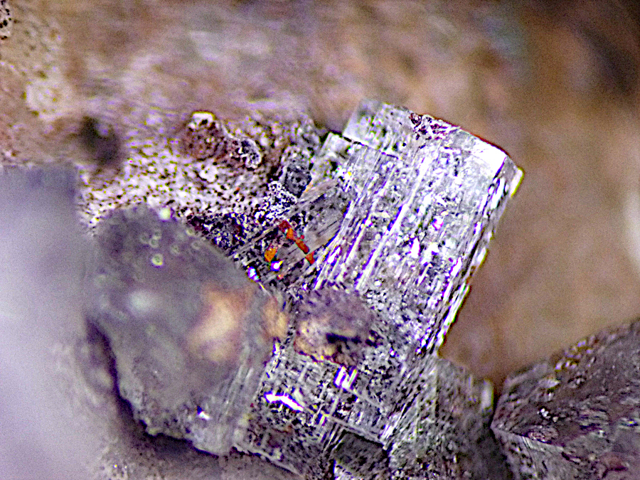Caracolite